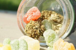 cannabis club in madird