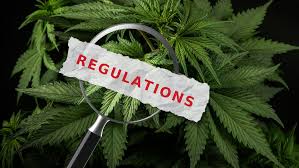 Cannabis Regulation in Spain
