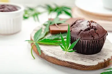 cannabis edibles in madrid, cannabis club madrid