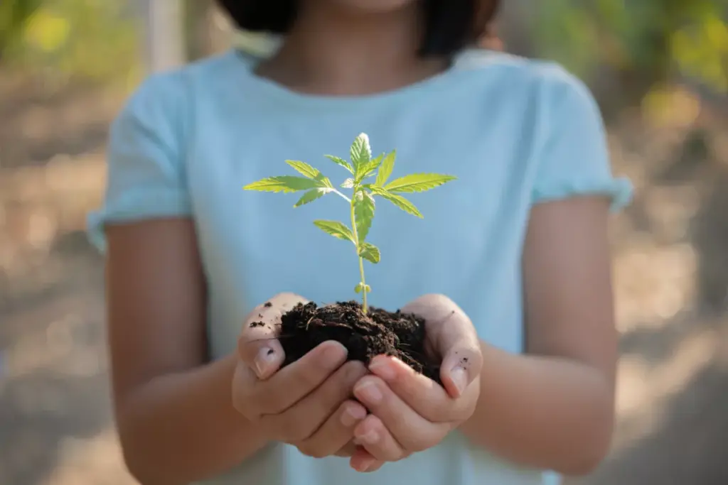 cannabis club Madrid, eco-friendly cannabis, sustainable cannabis Madrid