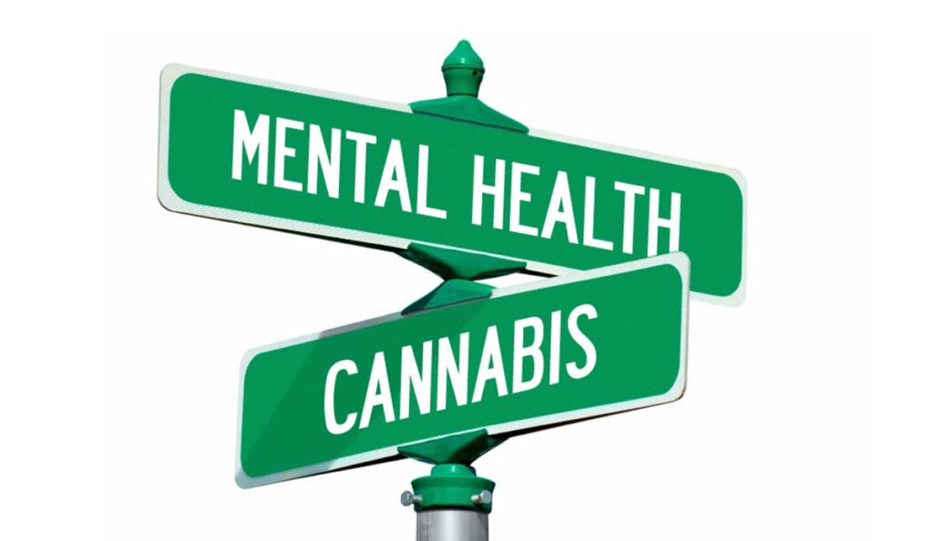cannabis club Madrid, mental health cannabis, cannabis in Spain 2025, mindfulness, safe spaces Madrid, cannabis wellness, 