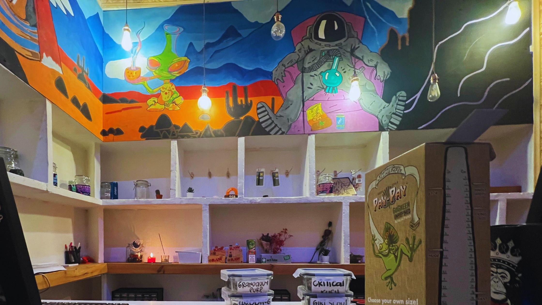 cannabis club madrid, cannabis club in madrid, cannabis club experience