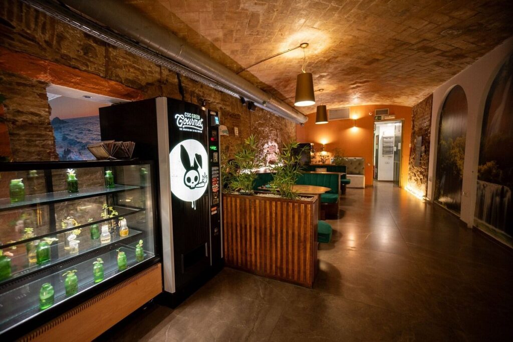 cannabis club in madrid, cannabis club madrid