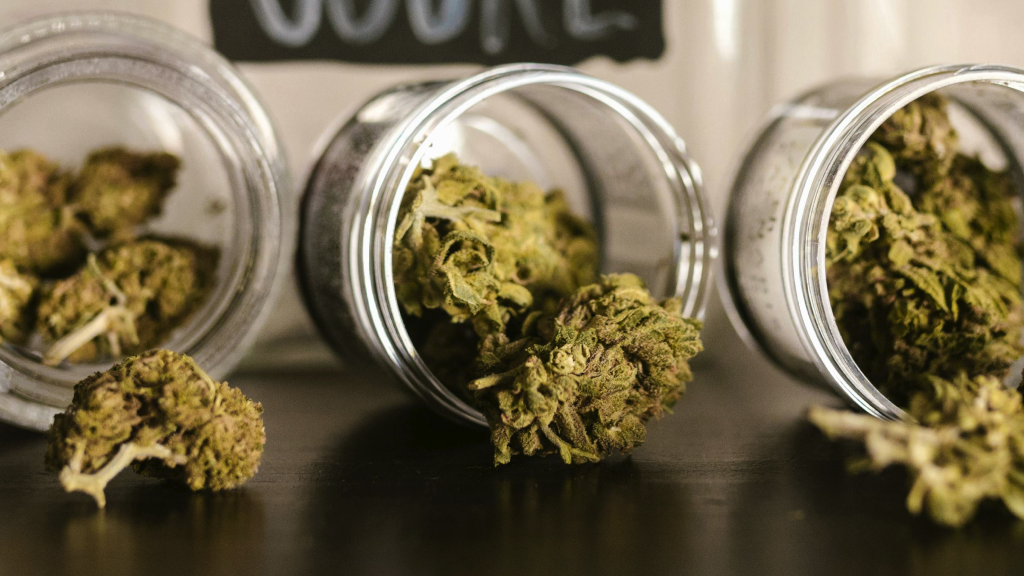 cannabis club madrid