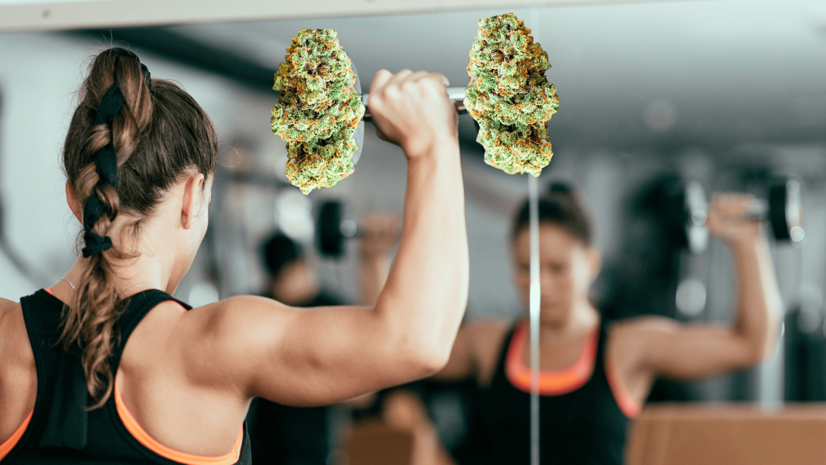 Cannabis club madrid, cannabis fitness