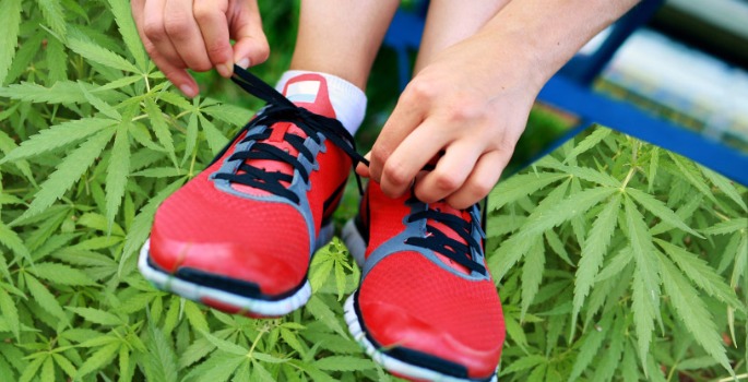 cannabis fitness, cannabis club madrid
