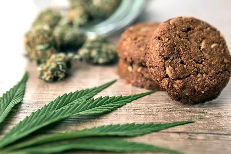 cannabis club madrid
