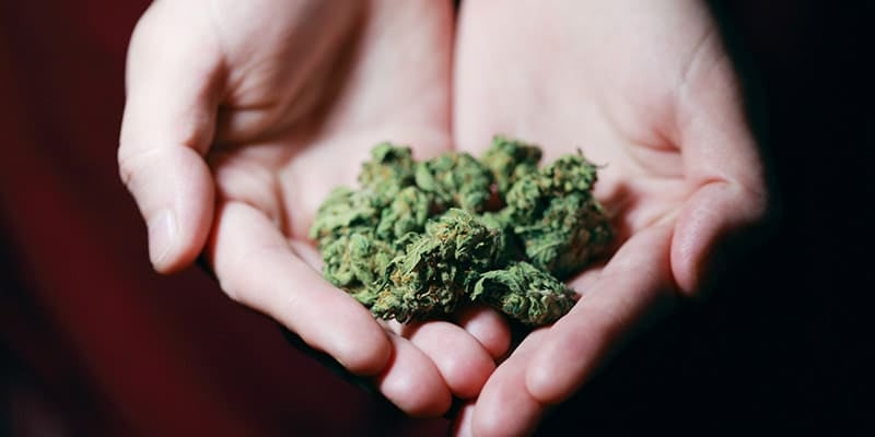 cannabis clubs madrid