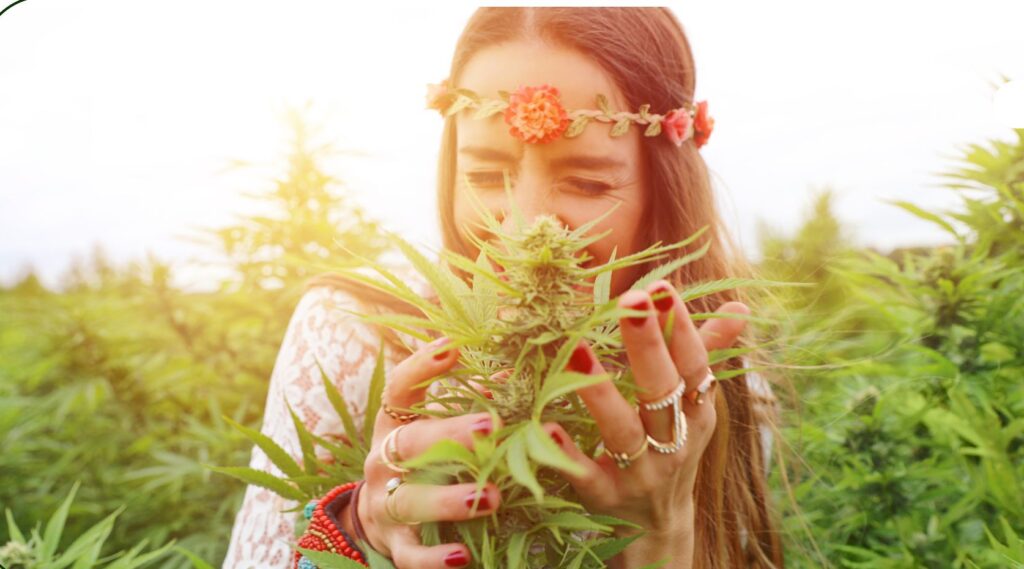 cannabis club madrid, cannabis genz